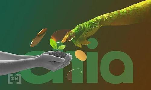 租用恒訊科技的chia服務(wù)器有何優(yōu)勢？.jpg